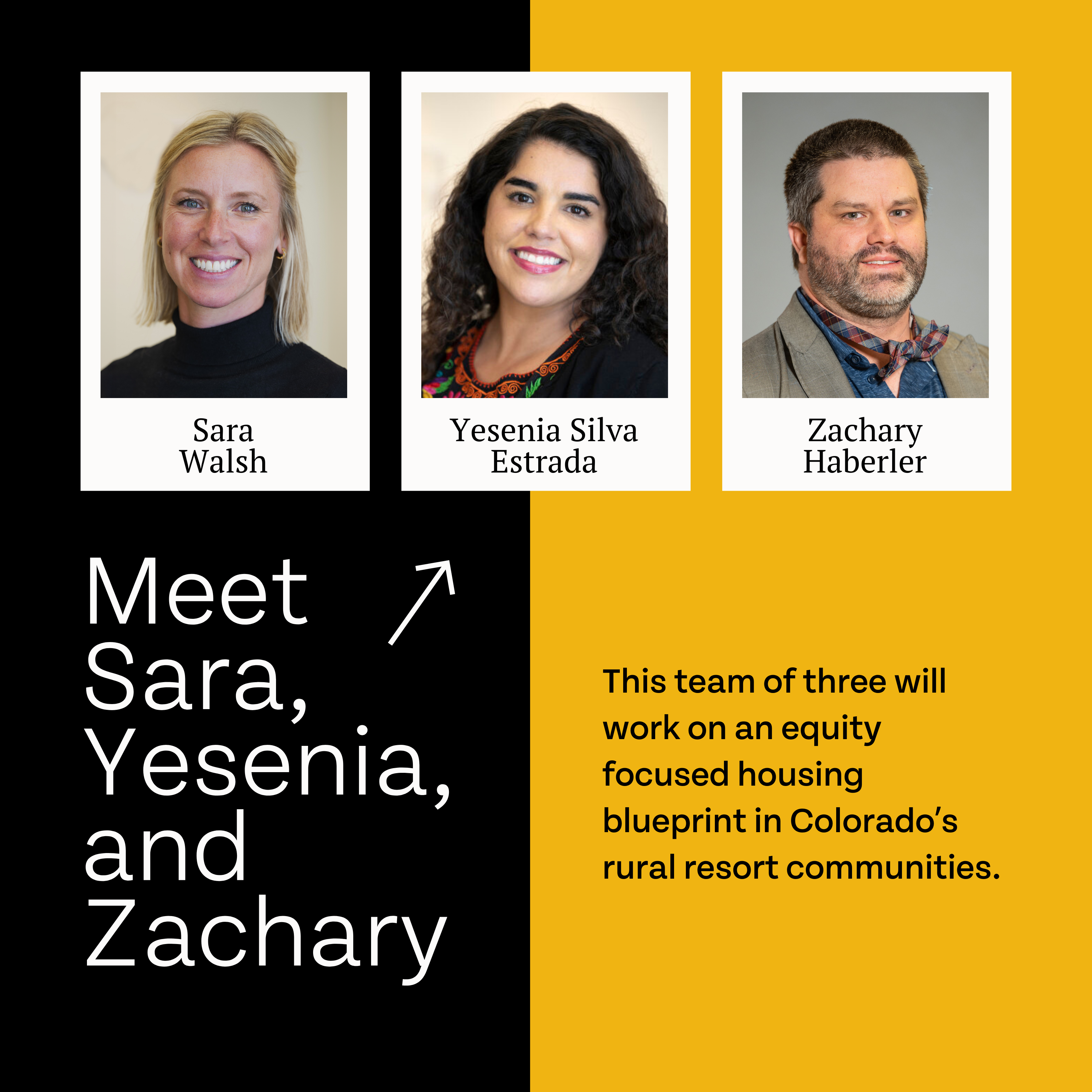 Three professionals, awarded fellowships, presented as a team focusing on equity in housing in Colorado's rural resort communities.