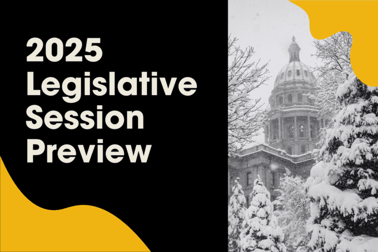 The text reads "2025 Legislative Session Preview" alongside a snowy scene of a grand government building with a dome and snow-laden trees, setting the stage for insights into the upcoming 2025 legislation.